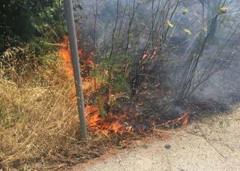 Πυρκαγιά σε ξερά χόρτα στο Χαλάνδρι