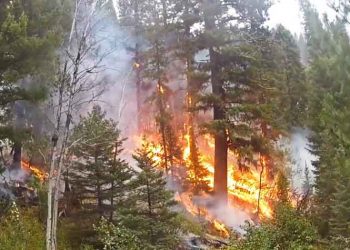 Σποτ ενημέρωσης για το θέμα των πυρκαγιών