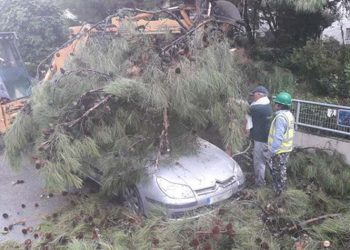 Ευχαριστίες Μανιατογιάννη προς την Πολιτική Προστασία του Δήμου