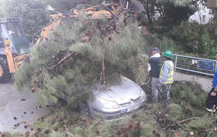 Ευχαριστίες Μανιατογιάννη προς την Πολιτική Προστασία του Δήμου