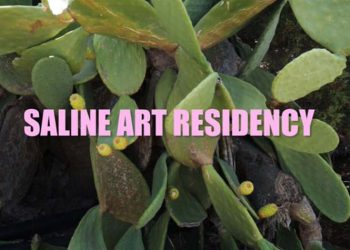 Saline Art Residency: Γλυπτικές δράσεις σε Πόρτο Χέλι και Ερμιόνη