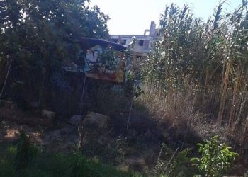 Γιάννης Θεοδωρακόπουλος: «Αντί για πυρασφάλεια, πότισμα λαχανόκηπου»