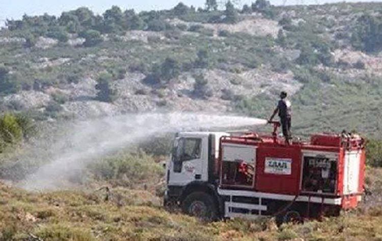 Εθελοντικό Πότισμα στο Πεντελικό  την Κυριακή 26 Αυγούστου