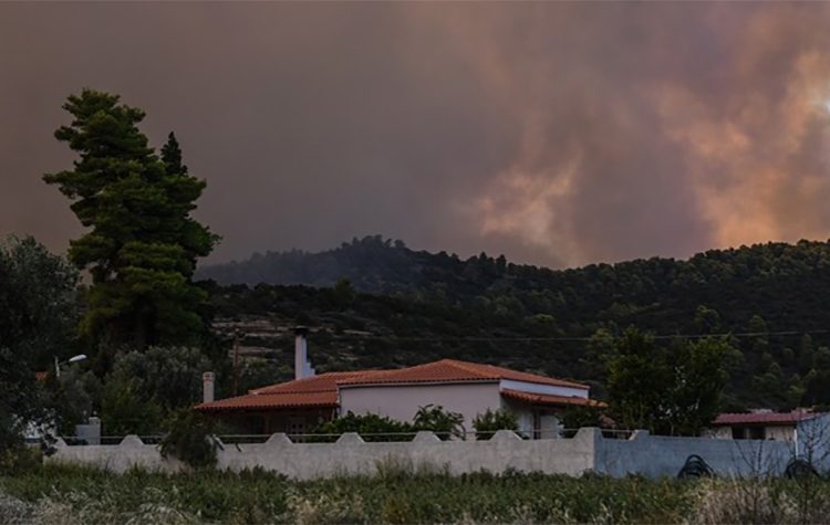 Σε ύφεση η πυρκαγιά στον δήμο Δίρφης - Μεσσαπίων στην Εύβοια