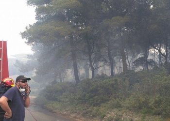 Πυρκαγιά στον Άγιο Στέφανο