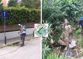 11ος κύκλος εφαρμογής του προγράμματος καταπολέμησης κουνουπιών