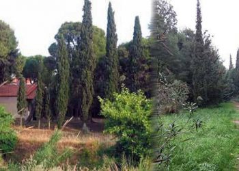 Λυκόβρυση - Πεύκη: Ανοχύρωτες πόλεις  στο έλεος ισχυρών ανέμων