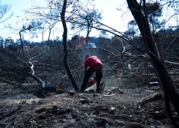 93 τα θύματα της πύρινης τραγωδίας – Προσβάσιμη η λίστα με τα ονόματα
