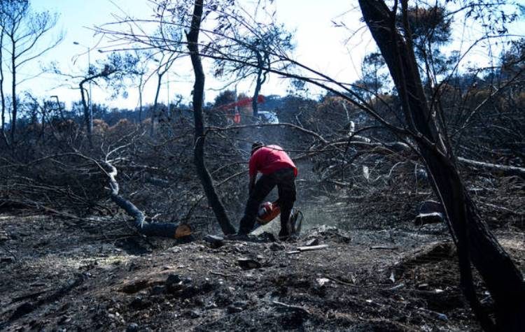 93 τα θύματα της πύρινης τραγωδίας – Προσβάσιμη η λίστα με τα ονόματα
