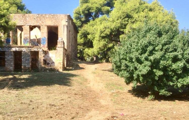 Συνεχίζονται οι παρεμβάσεις σε οικόπεδα και δημόσιους χώρους της πόλης