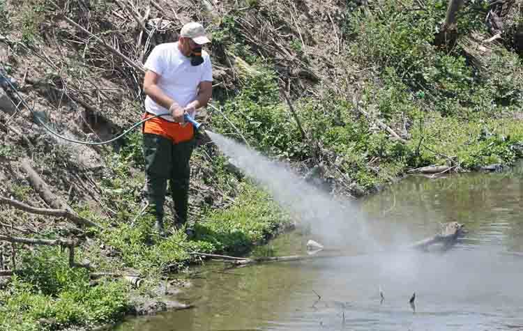 Eνημέρωση από την Περιφέρεια Αττικής για το πρόγραμμα κουνουποκτονιών και τον ιό του Δυτικού Νείλου