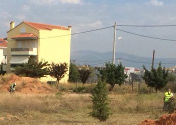 Σε πλήρη εξέλιξη καθαρισμοί χώρων που παραμελούν οι ιδιοκτήτες τους