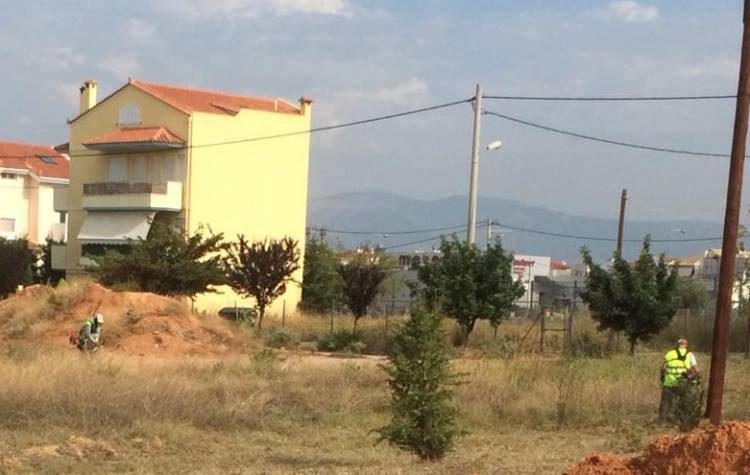 Σε πλήρη εξέλιξη καθαρισμοί χώρων που παραμελούν οι ιδιοκτήτες τους