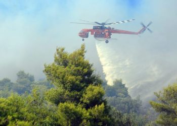 Π. Αντωνίου: «Συλλογική η μάχη του “Φυσάει Κόντρα” στις εκλογές»