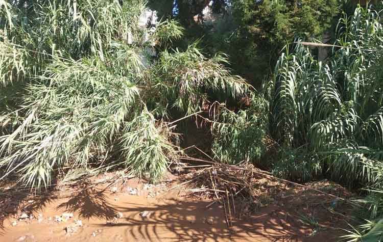 «Παραλείψεις της Περιφέρειας στον καθαρισμό του ρέματος»