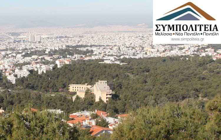 ΣΥΜΠΟΛΙΤΕΙΑ: Καταγγέλλουμε τον κ. Στεργίου για σκόπιμη αδράνεια στο θέμα του Δάσους Παπαδημητρίου