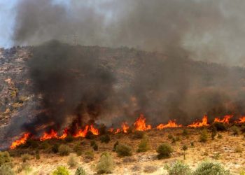 Σύλληψη 35χρονου για εμπρησμούς στον Μαραθώνα