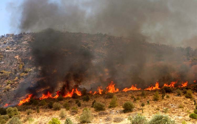 Σύλληψη 35χρονου για εμπρησμούς στον Μαραθώνα