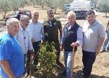 1η Δενδροφύτευση στα καμένα της Ι.Μ. Παντοκράτορος Ταώ (Νταού) Πεντέλης