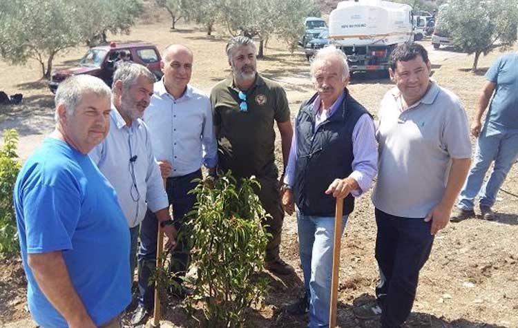 1η Δενδροφύτευση στα καμένα της Ι.Μ. Παντοκράτορος Ταώ (Νταού) Πεντέλης