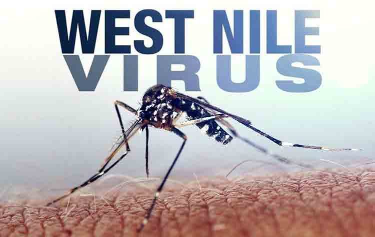 Ανήσυχος ο ΙΣΑ για την έξαρση των κρουσμάτων ιού του Δυτικού Νείλου