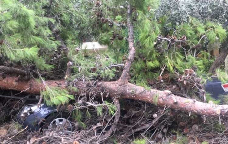 Σε ρυθμούς «Ζορμπά» και η Πολιτική Προστασία του Δήμου Αμαρουσίου