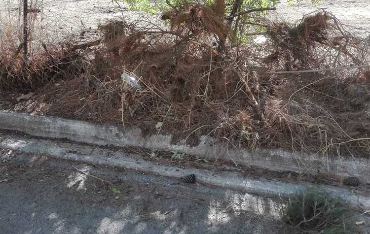 «Με ένα τηλέφωνο στον κ. Πατούλη…»