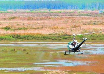 «Επιβεβαίωση της αποτυχίας στους ψεκασμούς»