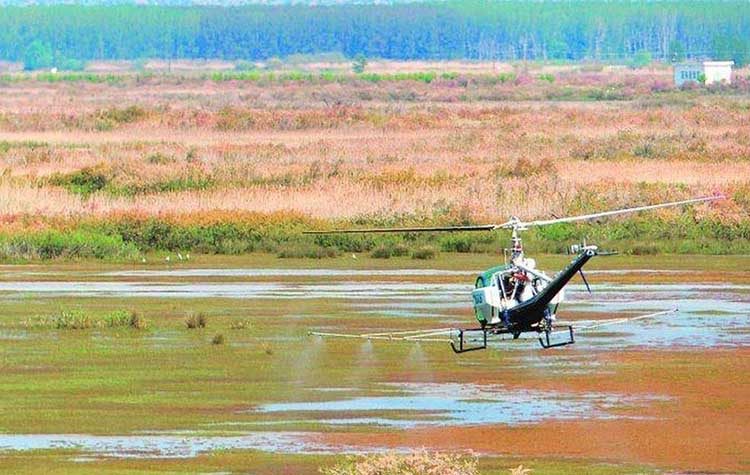 «Επιβεβαίωση της αποτυχίας στους ψεκασμούς»