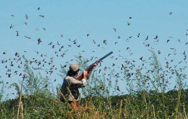 Μέχρι τις 28 Φεβρουαρίου 2019 η κυνηγετική περίοδος