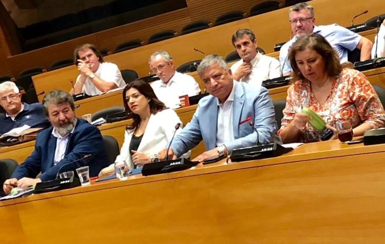 «Συνεργασία με το Δίκτυο Ελλήνων Αιρετών της Ευρώπης»