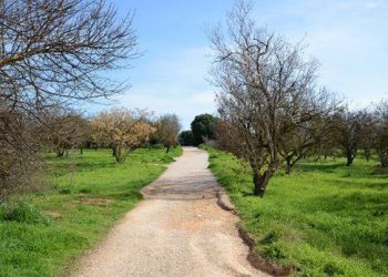 Λευτέρης Μαγιάκης: «Στο Υπερταμείο τα “φιλέτα” του Αμαρουσίου»