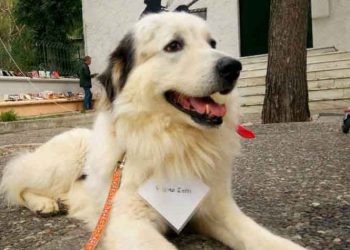 Μια αγκαλιά για τον Άτλαντα