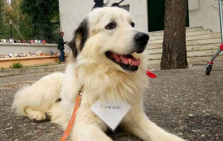 Μια αγκαλιά για τον Άτλαντα