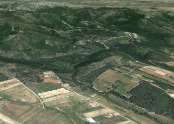 Αναρτώνται στις 19 Οκτωβρίου νέοι δασικοί χάρτες