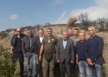 Δεύτερη δενδροφύτευση στα καμένα της Νταού Πεντέλης