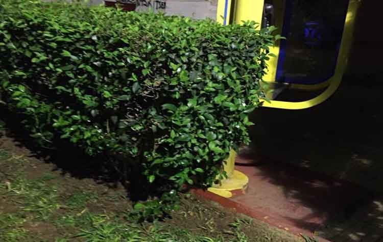 “Όχι άλλη ανευθυνότητα με το βραδινό πότισμα, κατά την περίοδο έξαρσης του ιού του Δυτικού Νείλου”