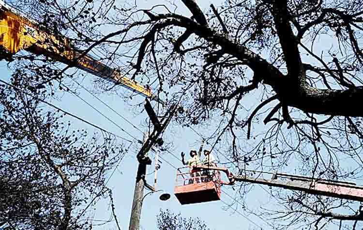 Μάτι: Τρεις μήνες μετά