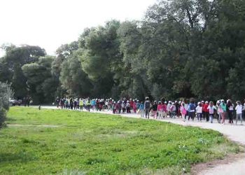 Μεγάλη συμμετοχή στον Περιβαλλοντικό Περίπατο στο Δάσος Συγγρού