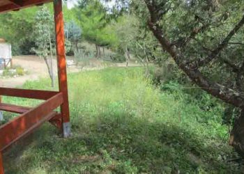 Καθαρισμοί, αποψιλώσεις και κλαδέματα στη ρεματιά των Δασοπροσκόπων