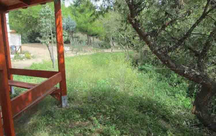 Καθαρισμοί, αποψιλώσεις και κλαδέματα στη ρεματιά των Δασοπροσκόπων