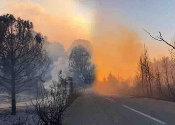 Χαλκιδική: Σε ύφεση το πύρινο μέτωπο στη Σιθωνία