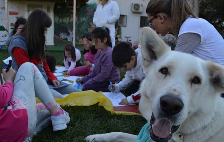 Βιωματική φιλοζωϊκή δράση στα δημοτικά του Αμαρουσίου