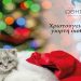 Το Christmas Bazaar του Γυμνασίου – Λυκείου «ΩΘΗΣΗ» δίνει… ώθηση στην υιοθεσία ζώων