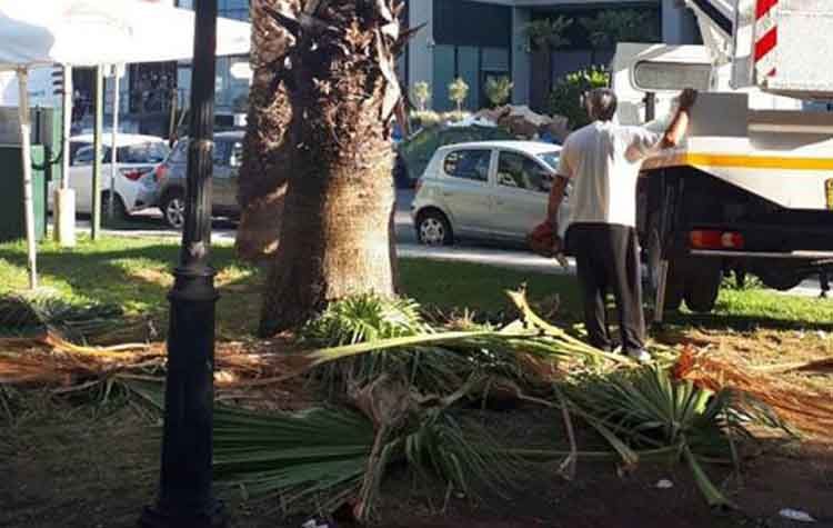 Εργασίες συντήρησης πρασίνου σε γειτονιές του Αμαρουσίου