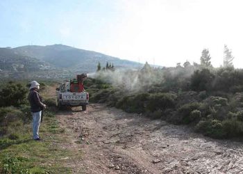 Πιλοτικοί βιολογικοί ψεκασμοί στον Κοκκιναρά από τον ΣΠΑΠ
