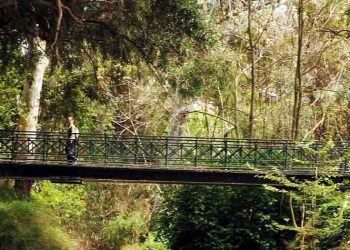 Προς τοπογράφηση της Ρεματιάς