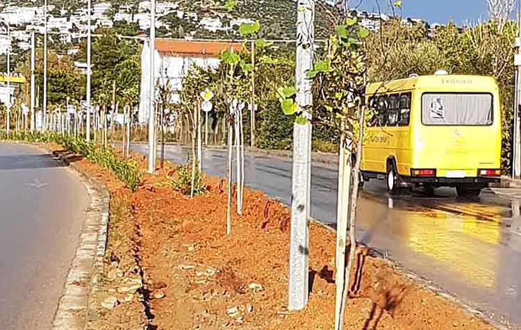 Ομορφαίνει εγκαταλελειμμένο σημείο της πόλης