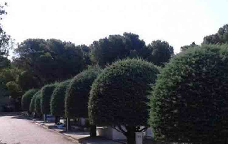 Απόδοση τιμής στον Ευστράτιο Γαλάνη