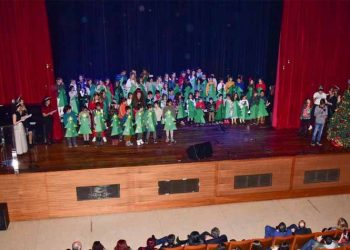 Το «Μικρότερο Χριστουγεννιάτικο Δέντρο»… στολίστηκε στην Πεύκη